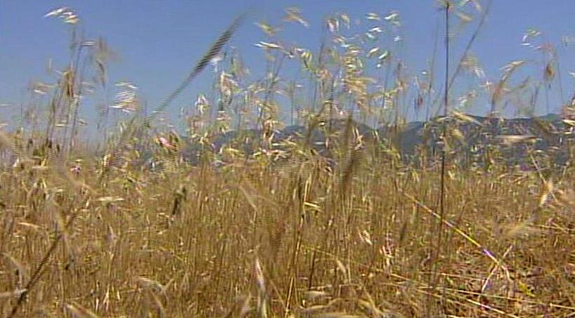 State dedicating more money to fight against major fire hazard