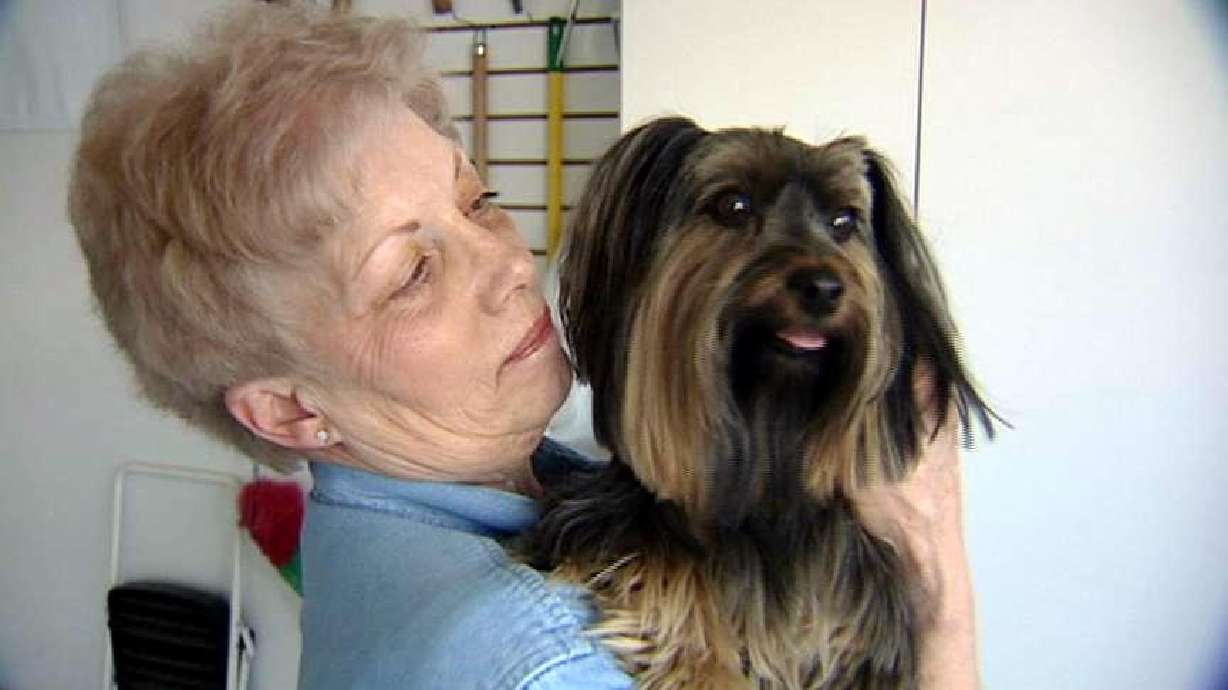 Dog sniffs out mold in homes