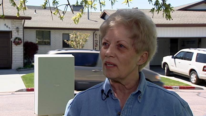 Dog sniffs out mold in homes