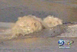 Watermain break causes road closures