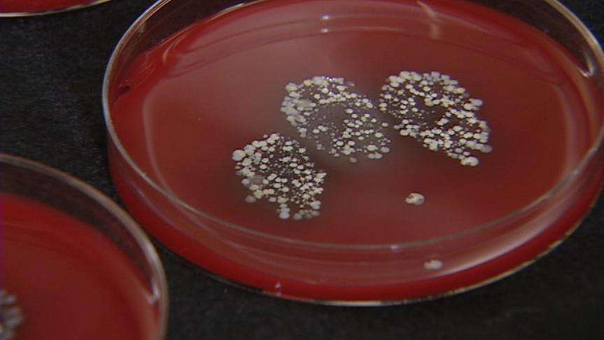 Hand sanitizers: clean hands or a false sense of security?