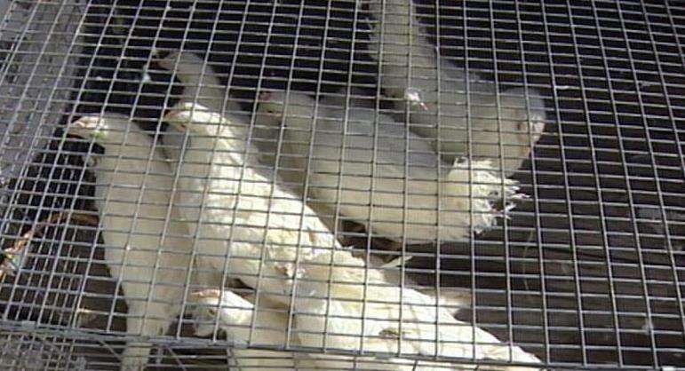 Take precautions and protect yourself from West Nile