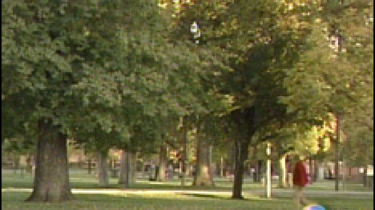 Police chief suggests keeping Pioneer Park open later