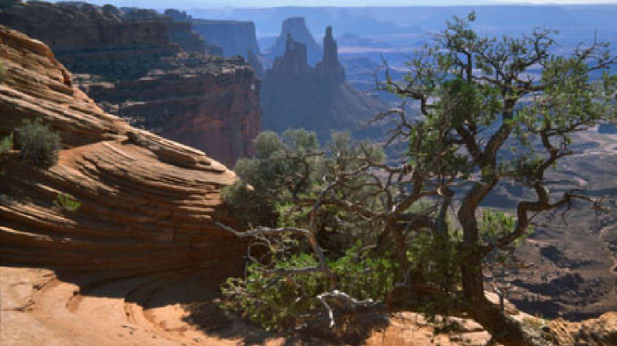 Minn. professor missing in Canyonlands National Park