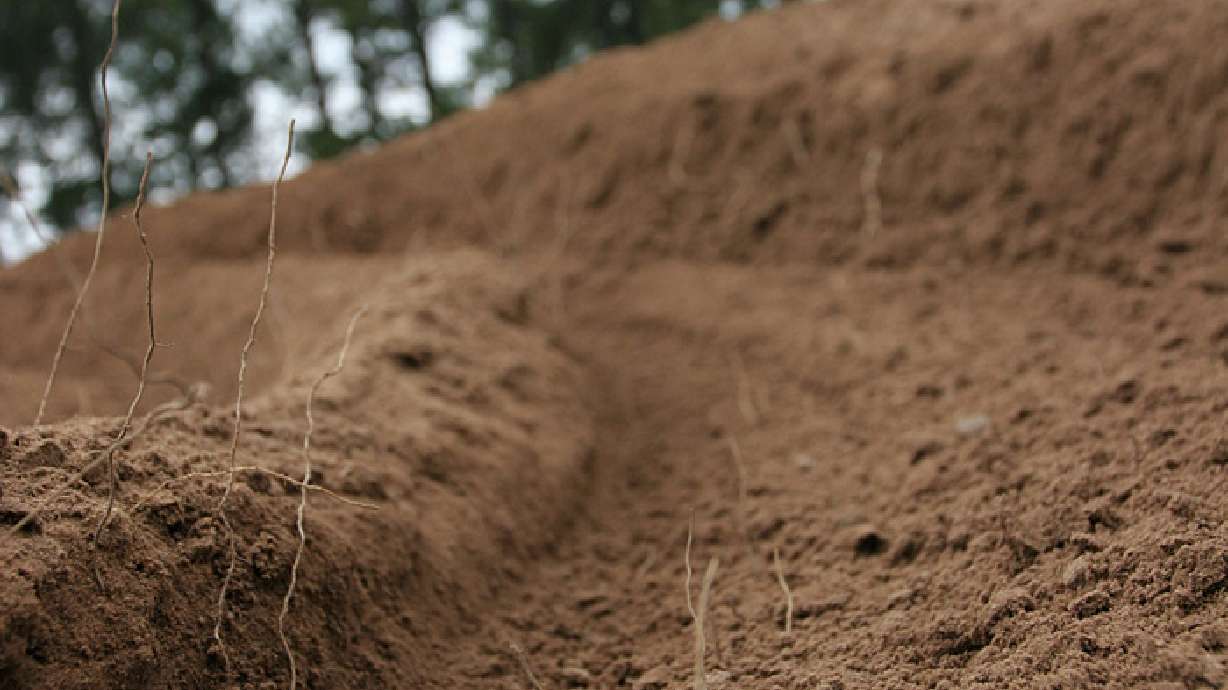 What Kind Of Soil Do You Have?