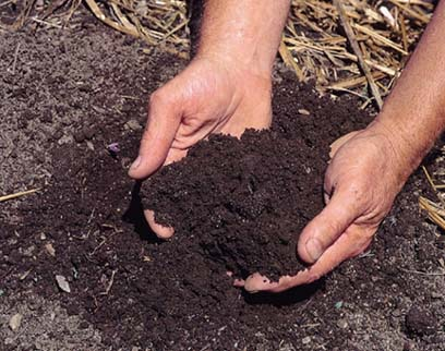 How To Determine Your Soil Type