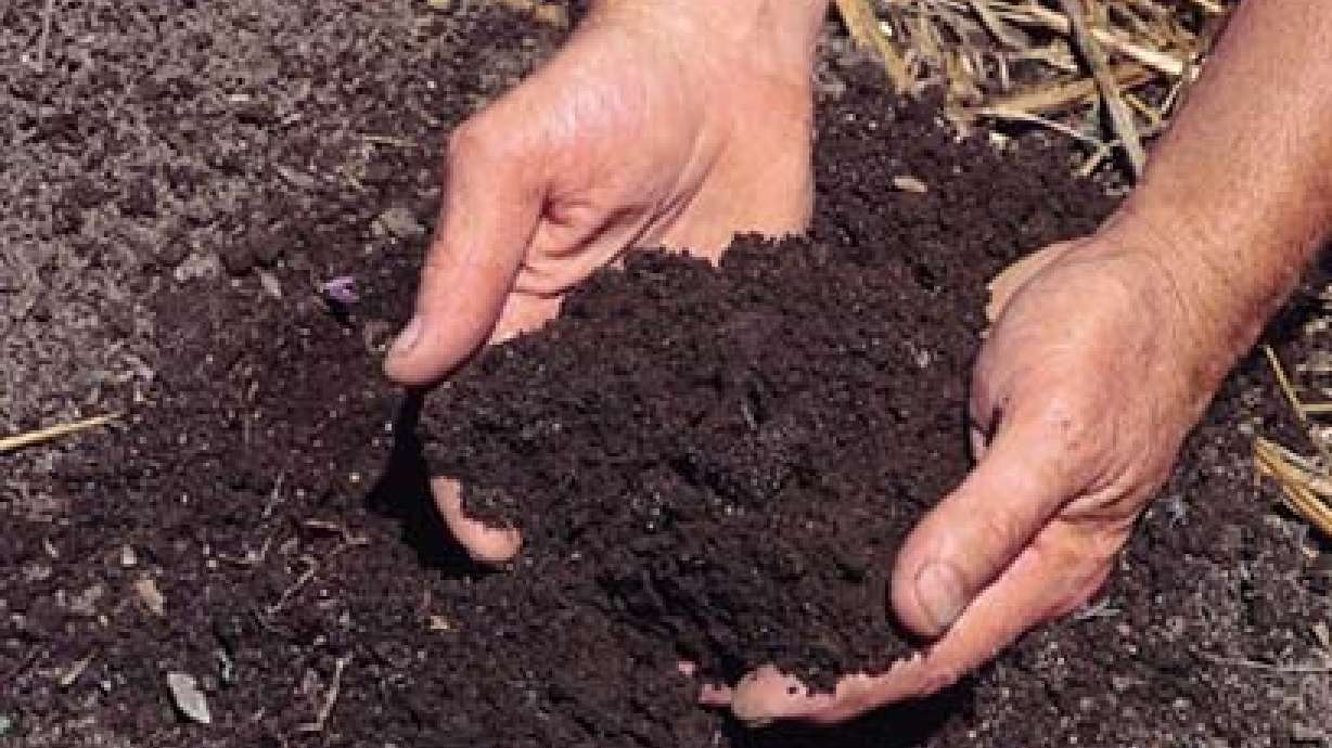 How To Determine Your Soil Type