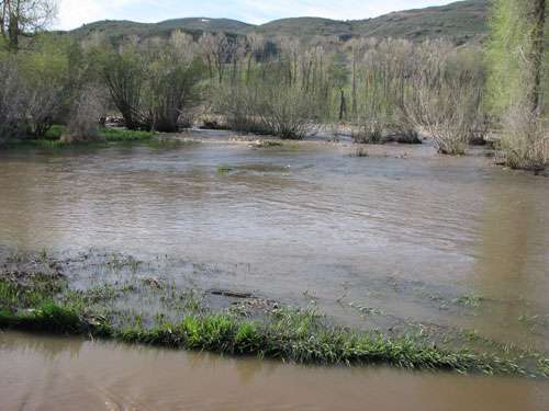 Photo Courtesy Kathy Donnell, Park Ranger at Jordanelle
