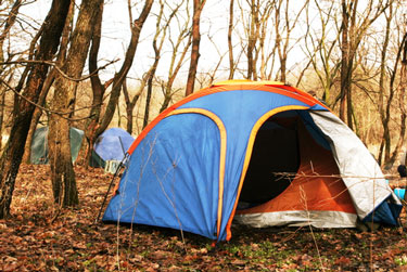 Have any more tips for keeping the bugs away?
Tell us in the comment section.