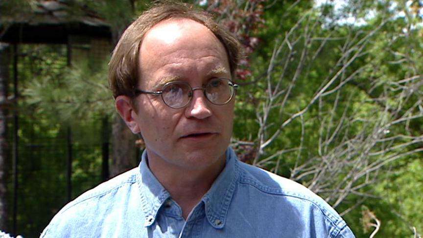 Rattlesnake bites seem to be more toxic