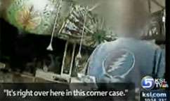 Eyewitness Investigation: Dangerous Herb is Legal in Utah