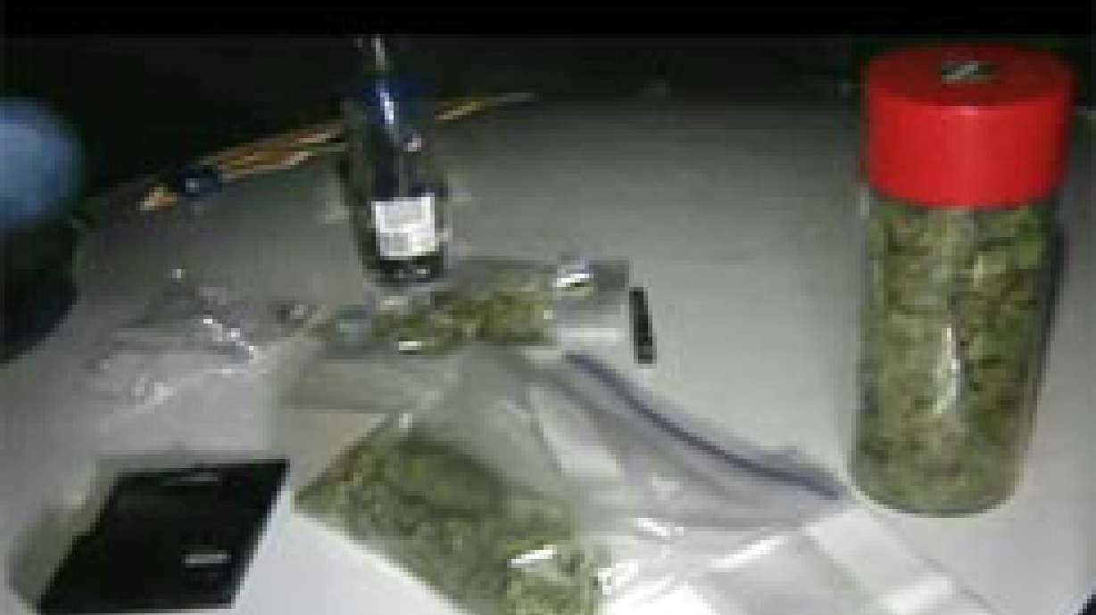 Police Find Drugs During Traffic Stop