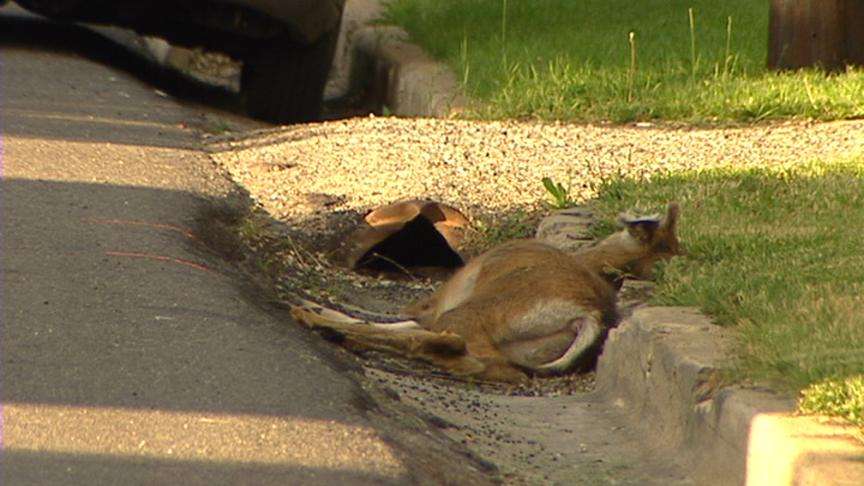 Family and neighbors remember man killed in accident