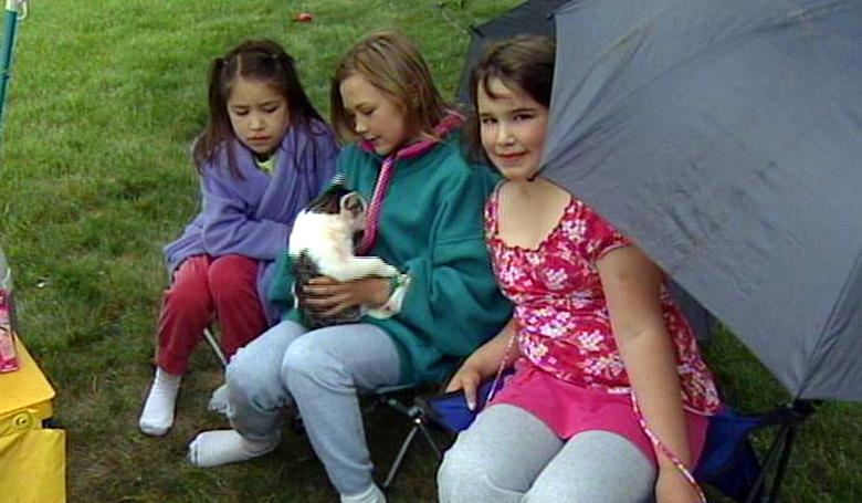 Strangers offer help to partially paralyzed cat