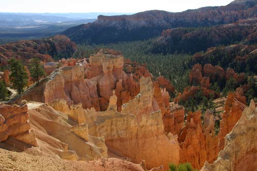 Bryce Canyon park to control invasive plants