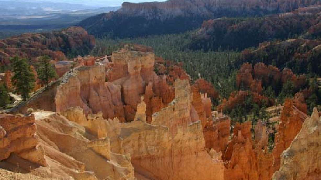 Firearms may soon be allowed in national parks