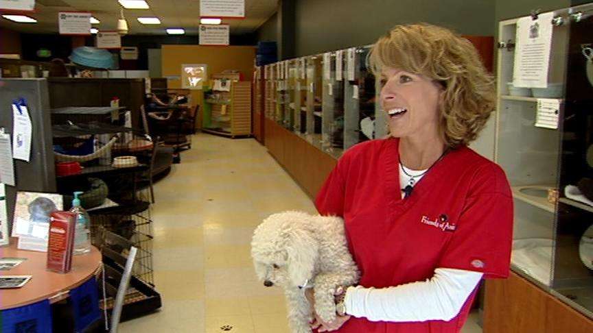 New animal shelter to be built in Summit County