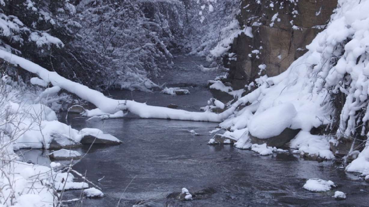 Rain and Snow Averages