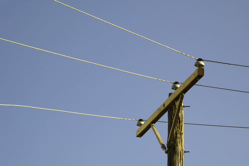 Crews finish replacing power poles in Beaver County