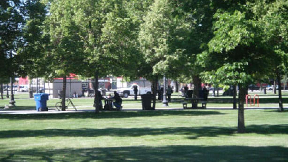 Suspected drug dealers rounded up in Pioneer Park