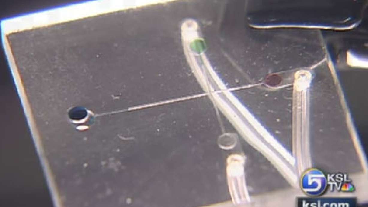 Researchers Developing "Laboratory on a Chip"
