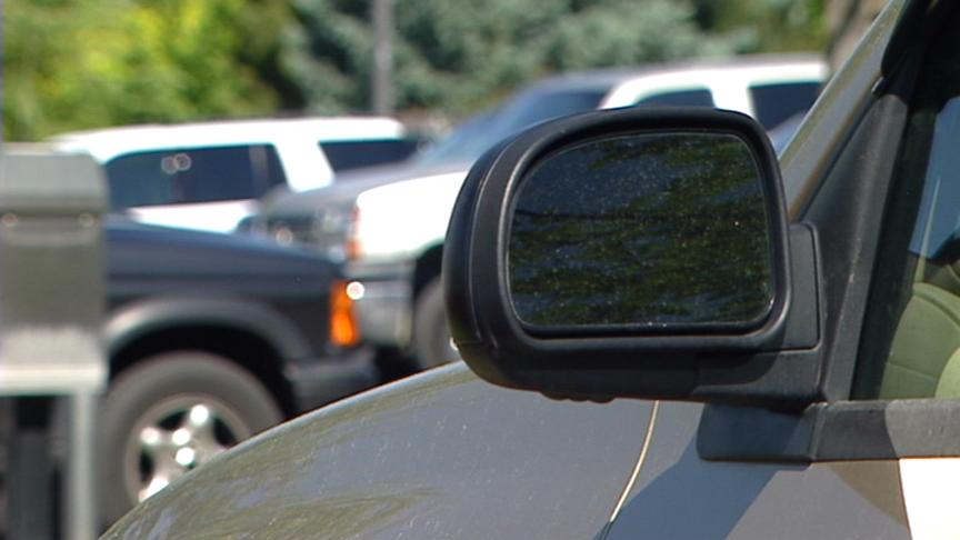 Owner ticketed for leaving dog in car