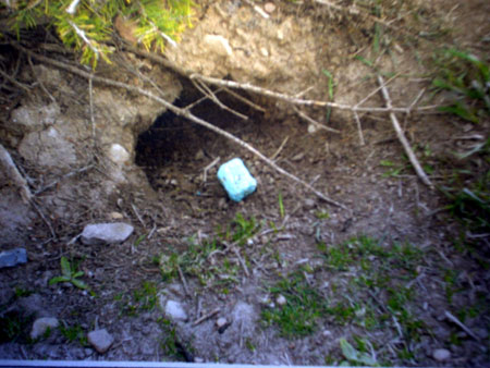 Exterminator cited for some illegal practices