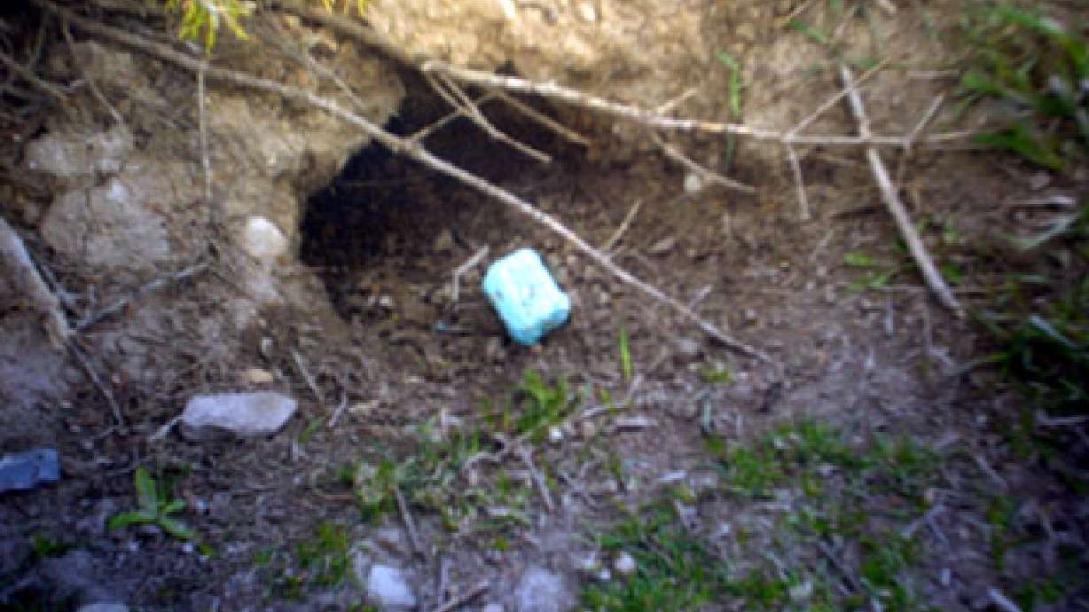 Exterminator cited for some illegal practices
