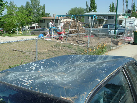 Strong winds leave a big mess in one Orem neighborhood