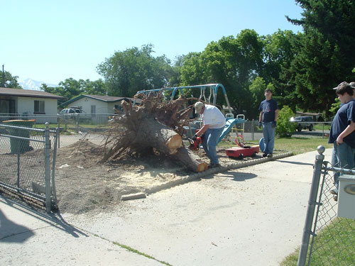 Strong winds leave a big mess in one Orem neighborhood