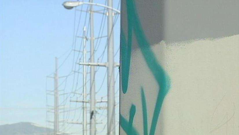 Vandals tag several businesses in Millcreek Area