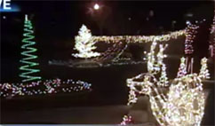 High Five: Couple's Christmas Lights Brighten the Neighborhood