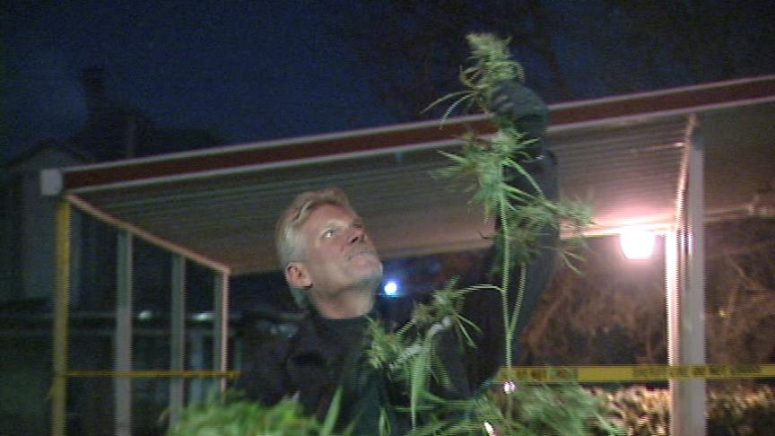 Citizen's Tip Leads to Large Pot Bust