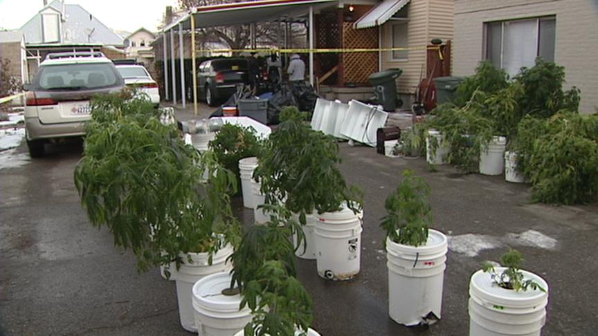 Citizen's Tip Leads to Large Pot Bust