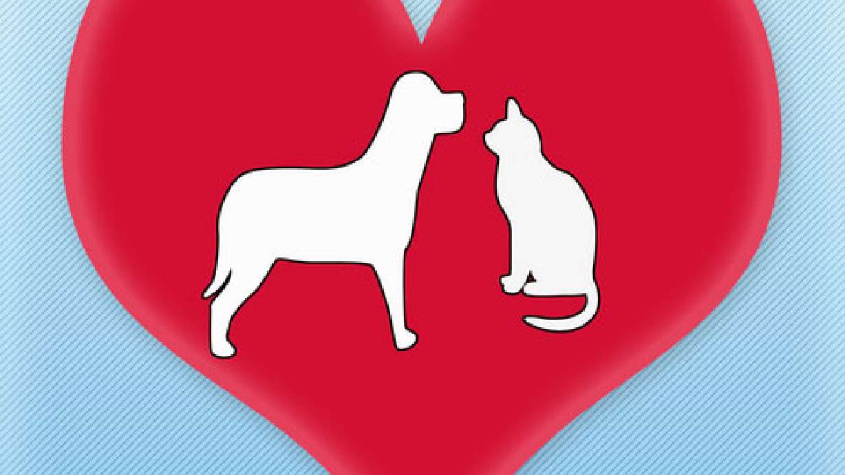 Christmas for the Animals, Open House on Saturday