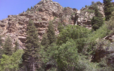 Survey gathers ideas for use of Wasatch canyons