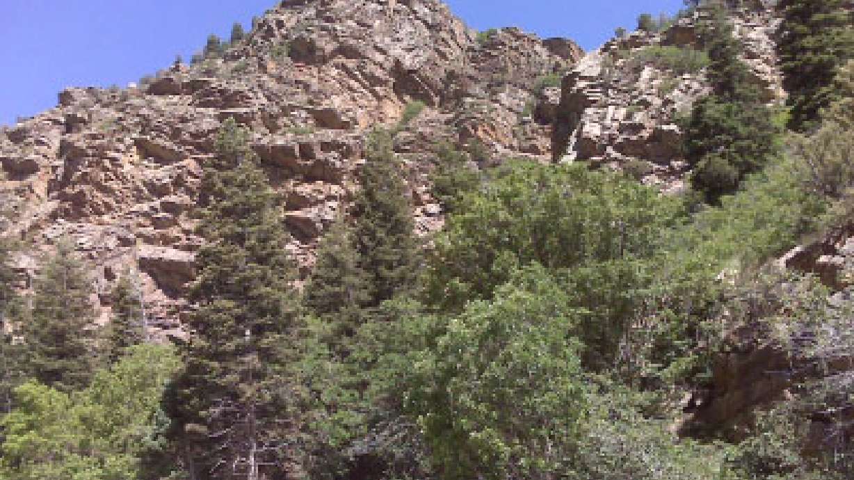 Survey gathers ideas for use of Wasatch canyons