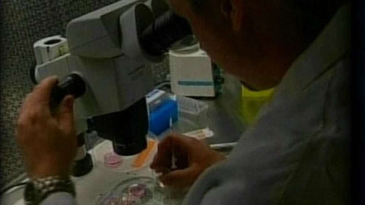 Utah E. Coli Victim Not Linked to National Outbreak