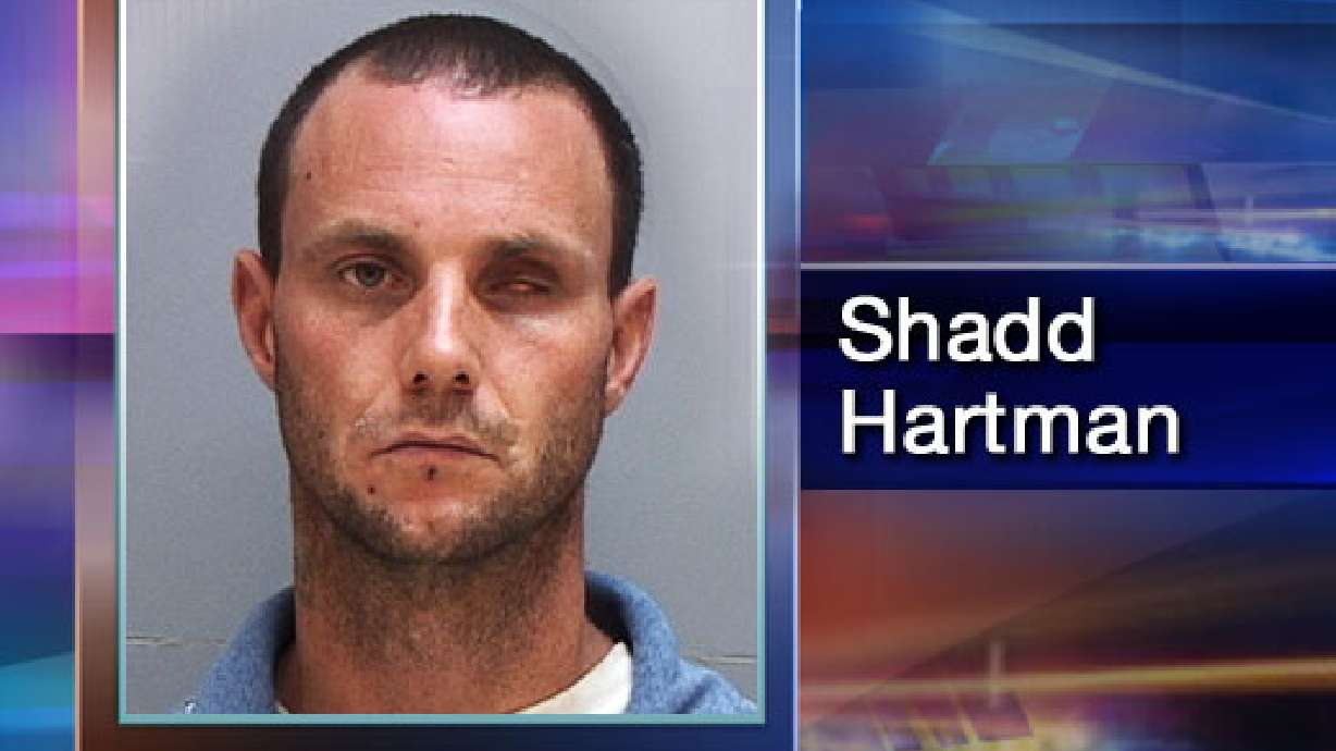 Man who stole records will spend year in jail