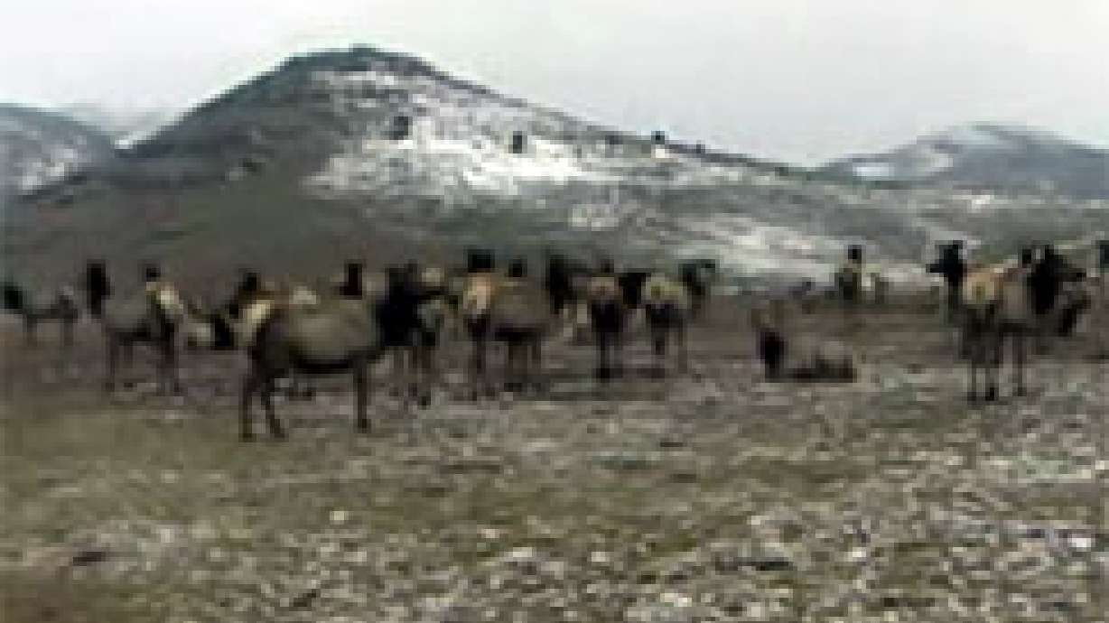 Hardware Ranch Offers Scenic Sleigh Rides