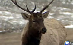 Hardware Ranch Offers Scenic Sleigh Rides