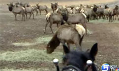 Hardware Ranch Offers Scenic Sleigh Rides