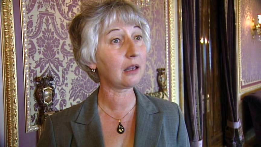 Governor meets with UK leader to discuss climate issues