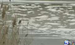 Highway Proposal Pits State Builders Against Conservationists, Again