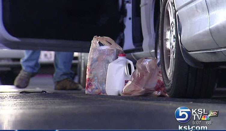 Police follow, then arrest suspects in stolen car