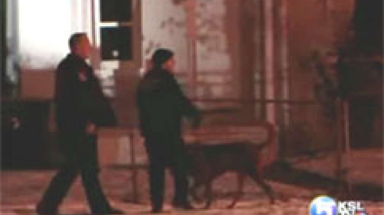 Police Search for Carjacking Suspect