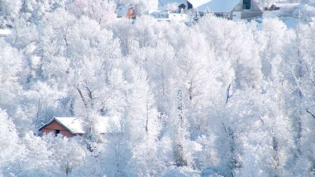 Winter in Utah 2006-07 - Part II