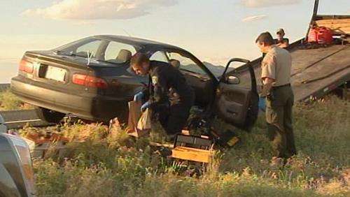 Man arrested after trying to run over sheriff's deputy