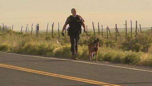 Man arrested after trying to run over sheriff's deputy