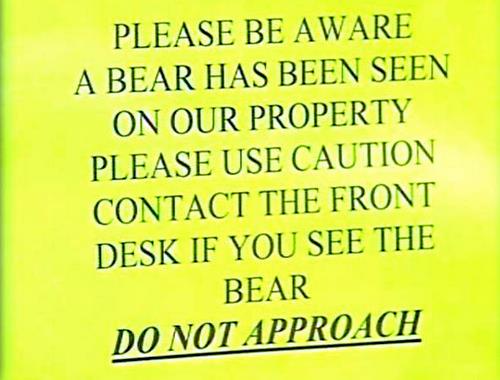 Mother says daughter improves after bear attack